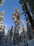 Christmas2010 227